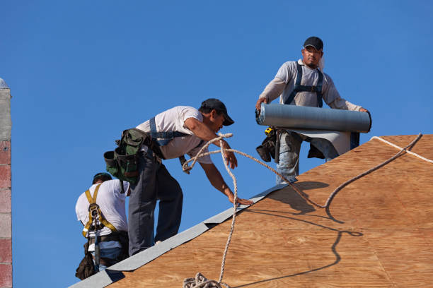 Best Roof Leak Repair  in Springfield, KY