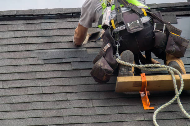 Best Roof Leak Repair  in Springfield, KY