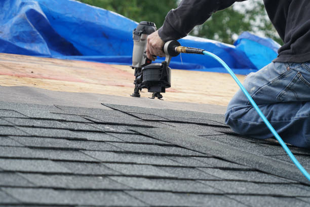 Professional Roofing Contractor in Springfield, KY
