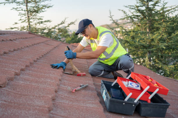 Best Commercial Roof Installation  in Springfield, KY