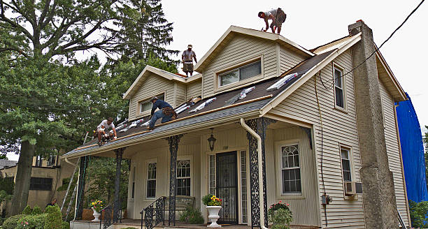 Best Local Roofing Companies  in Springfield, KY